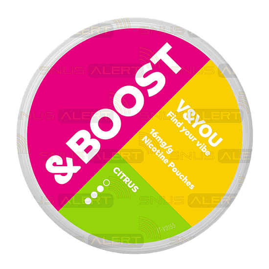 Boost Citrus 16mg/g V&YOU Boost Citrus