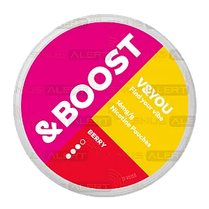 V&YOU Boost Berry V&YOU Boost Berry