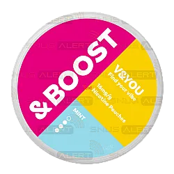 V&YOU Boost Mint