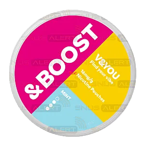 V&YOU Boost Menthe V&YOU Boost Menthe