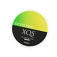 elefantenfuß pflanze groß XXL Elefantenfuß Nolina kaufen – Green Me Up main image 0