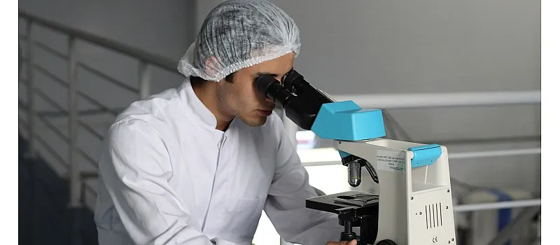 Research by the RIVM into Swedish snus, new trend of nicotine pouches