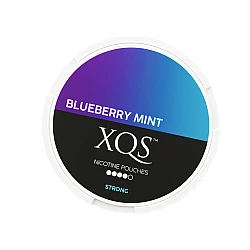 XQS Blueberry Mint